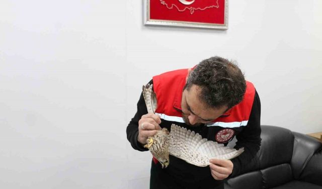 Erzincan’da ekipler, kerkenez için seferber oldu