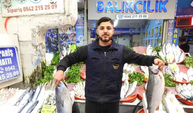 Gaziantep’te tezgahlar Ramazan öncesi balık çeşitleriyle şenlendi