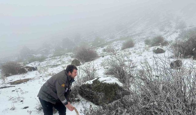 Giresun’da yaban hayvanları için doğaya yem bırakıldı
