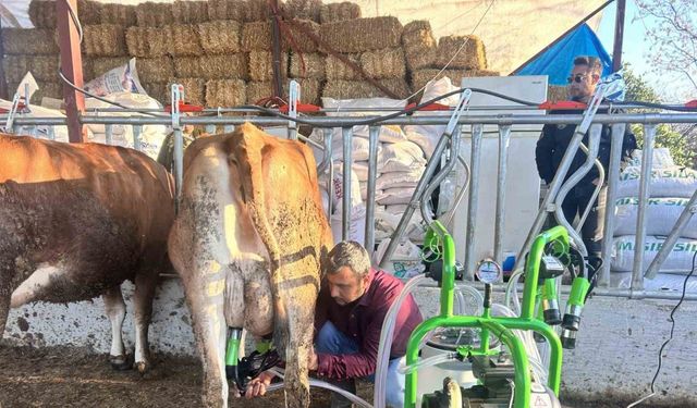 Hatay Büyükşehir Belediyesi’nden hayvan üreticisine süt sağma makinesi desteği