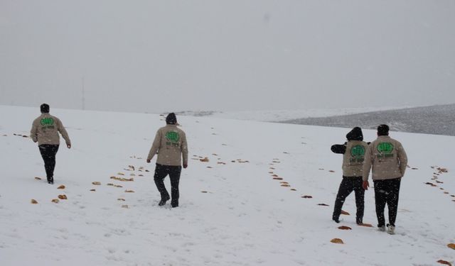Hayvanların doğada aç kalmaması için çalışma yaptılar