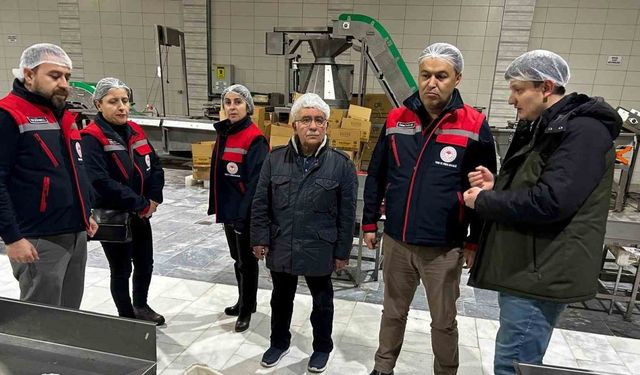 Hurma üretim tesislerine yönelik denetim