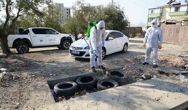 Kahramanmaraş’ta zararlılara karşı kış baskını