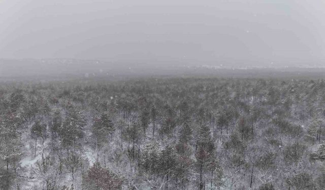 Kar yağışı, Türkiye ile Bulgaristan sınırında kartpostallık görüntüler oluşturdu