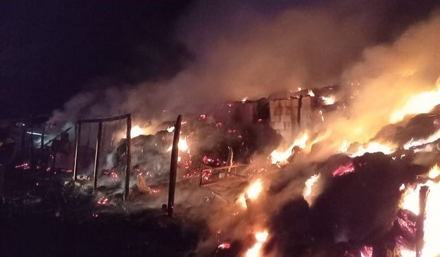 Kırklareli’nde yangın paniği: Ağıl küle döndü