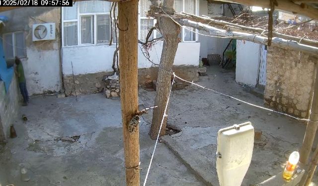 Mardin’de acemi hırsız ev sahibine yakalandı