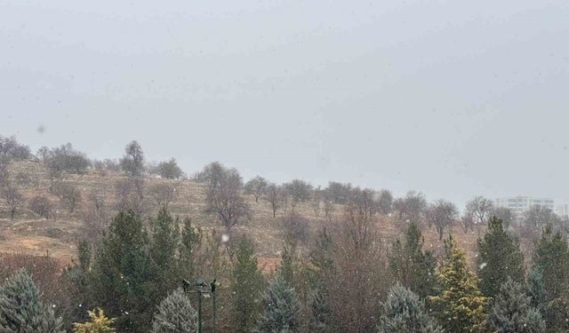 Mardin’de kar yağışı başladı