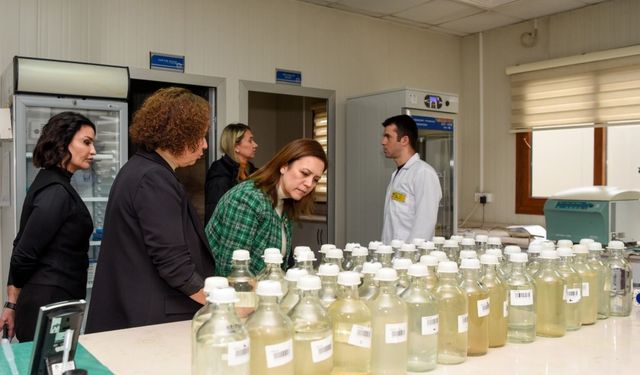 MESKİ Su Analiz Laboratuvarı, TÜRKAK denetimini başarıyla tamamladı