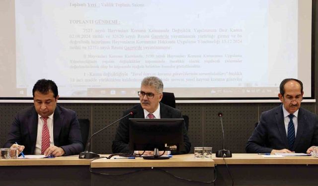 Niğde’de başıboş hayvanlar için doğal yaşam alanı oluşturulacak