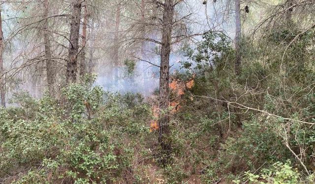 Osmaniye’de çıkan orman yangını kontrol altına alındı