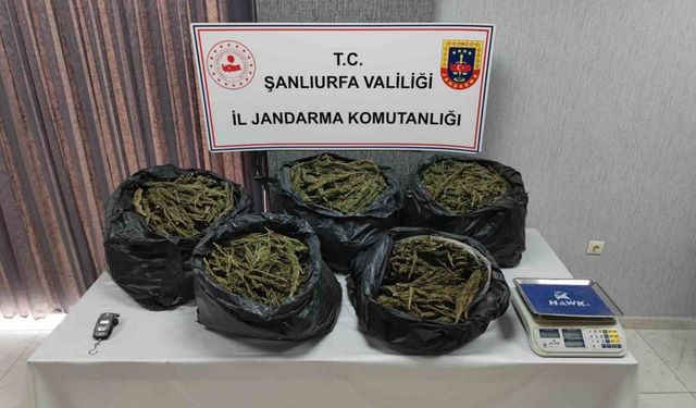 Şanlıurfa’da silah ve uyuşturucu madde ele geçirildi: 7 gözaltı