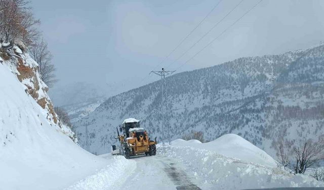 Siirt’te 99 köy yolu kapandı
