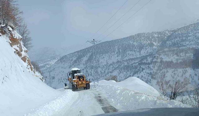 Siirt’te kapanan köy yolları ulaşıma açıldı