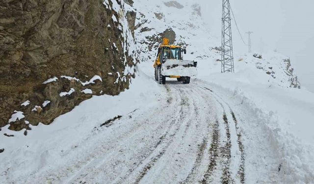Siirt’te kar 92 köy yolunu ulaşıma kapattı