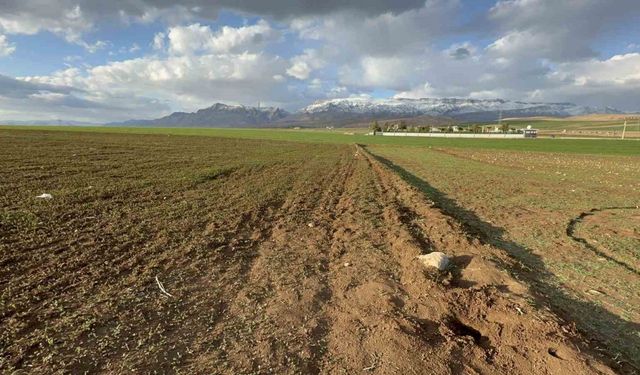 Silopi’de poşet içerisinde bebek cesedi bulundu