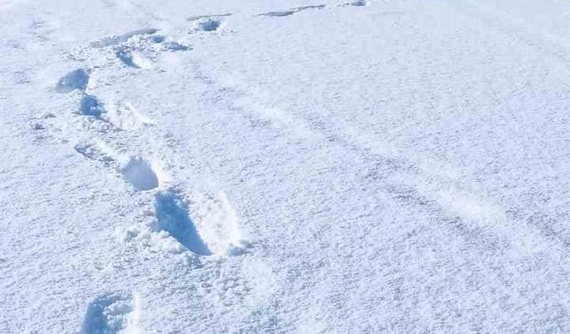 Şırnak’ta 19 köy yolu ulaşıma kapandı