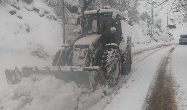 Şırnak’ta kar yağışı nedeniyle kapanan yollar açılıyor