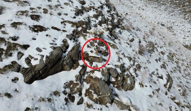 Şırnak’ta karda yiyecek arayan tilki dron ile görüntülendi