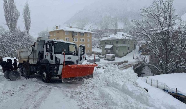 Şırnak’ta kardan kapanan köy yolları ulaşıma açılıyor
