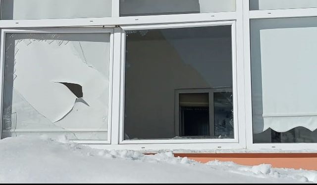 Sis Dağı’nda yiyecek bulamayan ayılar evlere zarar verdi