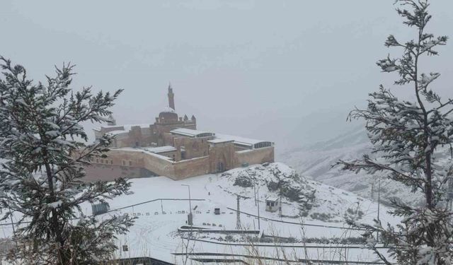 Tarihi saray beyaza büründü