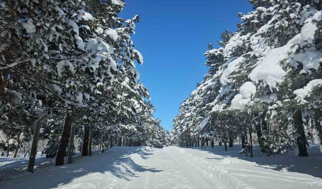 Tatvan’da çatılarda 2 metrelik buz sarkıtları oluştu