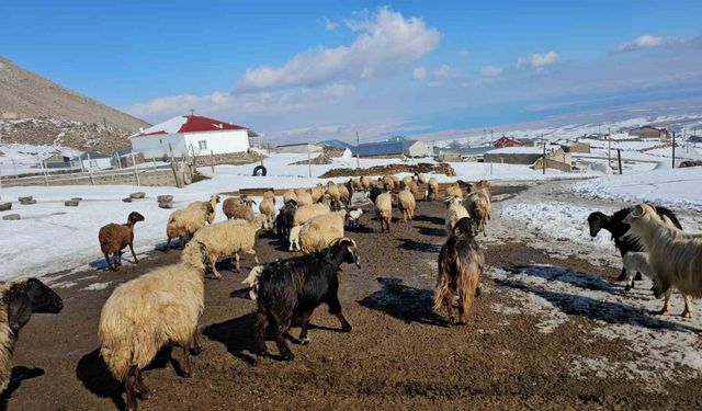 Türkiye’nin en yüksek rakımlı köyü Kışkılı, dron görüntüleriyle hayran bıraktı