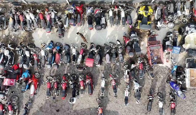 Uyuşturucu tacirlerinin korkulu rüyası: "Adam" ve "Yuri" uyuşturucuyu anında tespit ediyor