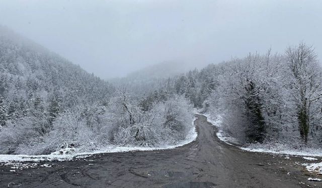 Yüksek kesimlerde kar yağışı yeniden etkisini gösteriyor