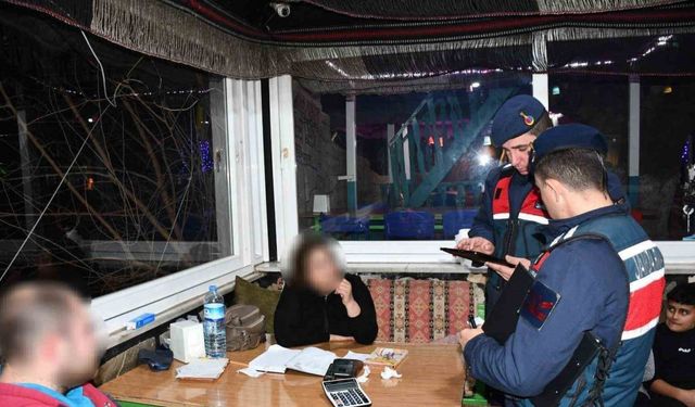 Jandarmadan Bozdoğan’da ‘ŞOK’ uygulaması