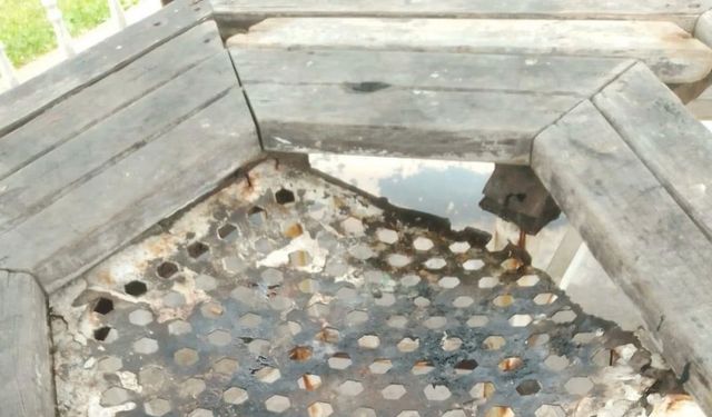 Parktaki masanın tahtalarını söküp ateşe verdiler