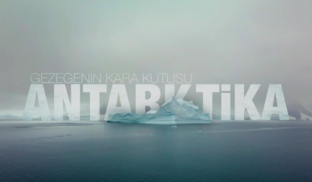 BEYAZ KITA’YA KADIN ELİ