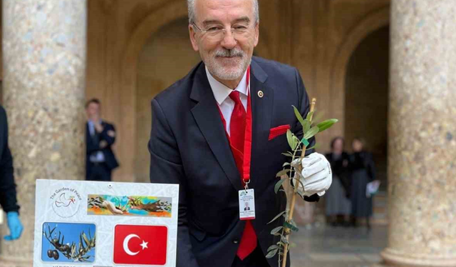 Gemlik Zeytin Ağacı Fidanı İspanya’da toprakla buluştu