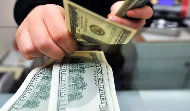 Özel sektörün yurt dışı kredi borcu Şubat ayında 179,2 milyar dolar oldu
