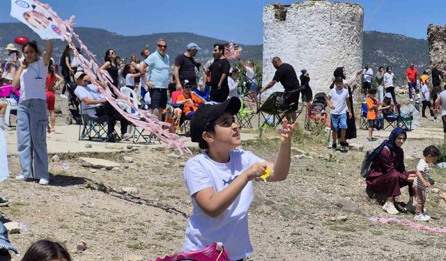 Bodrum Uçurtma Festivali yapıldı