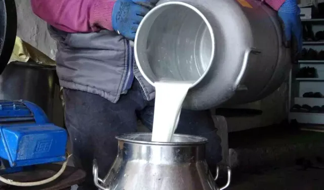 Ardahanlı Süt Üreticileri Fiyatlardan Dertli