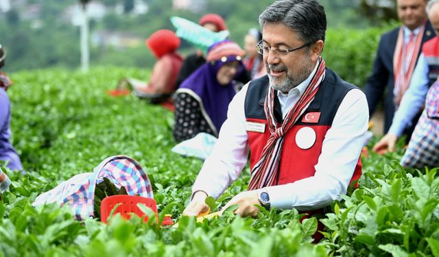 Bakan Yumaklı: Çayda belirsizlik sezon gecikti ama üretim güvende