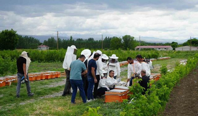 Iğdır’da arı kovanı dağıtım töreni düzenlendi