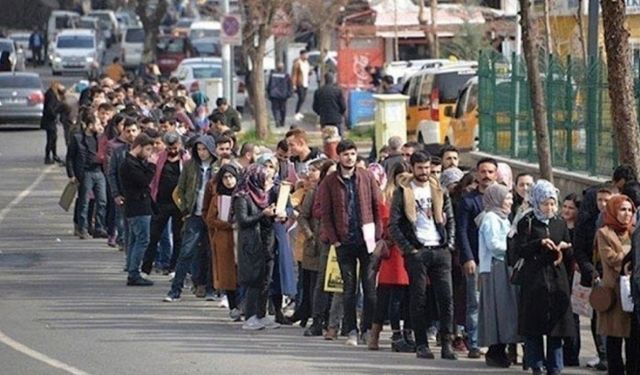 Haziran Ayında Alarm Zilleri Çaldı: İşsizlik Artışta, Gençler ve Kadınlar En Çok Etkilenen Gruplar