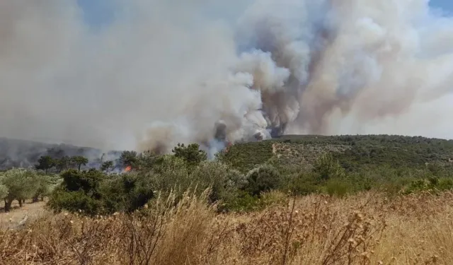 Çeşme’de Yangın Alarmı: Turizm Cenneti Alev Alev, Mahalleler Tahliye Ediliyor!