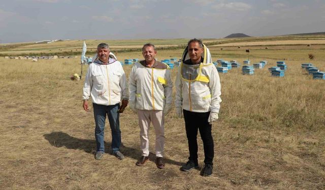 Kars’ta 2025 yılında bin 800 ton bal rekoltesi beklentisi