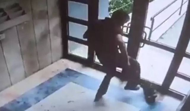 Başakşehir’de kediyi öldüren şahıs tutuklandı