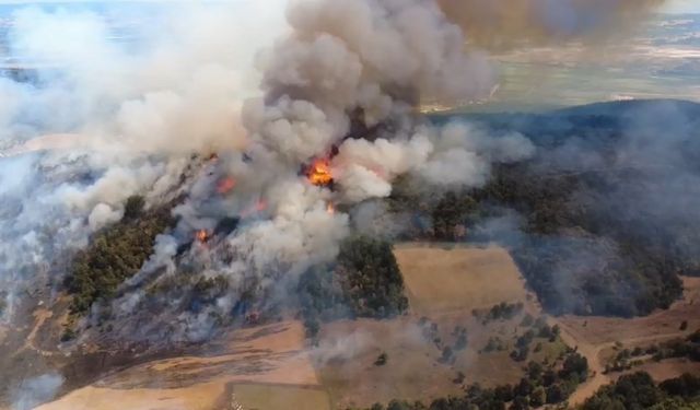 Bursa’daki orman yangınına 718 personel müdahale ediyor