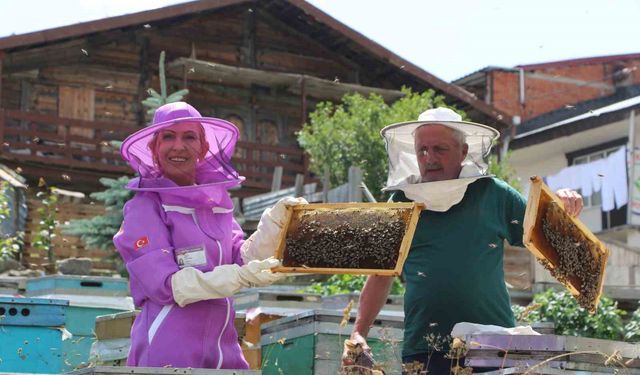 Dünyaca ünlü Anzer balında referans kovanlarında sağım gerçekleşti