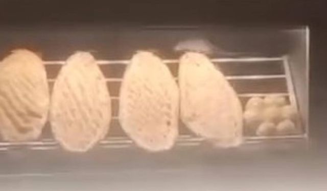 Elazığ’da bir fare ekmeklerin üstünde gezerken görüldü