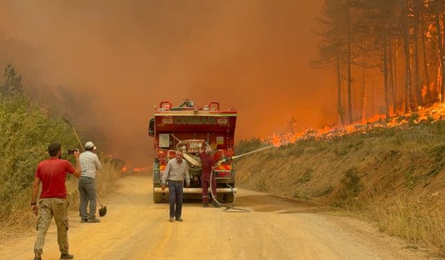 Karabük’teki orman yangını rüzgarın etkisiyle büyüyor