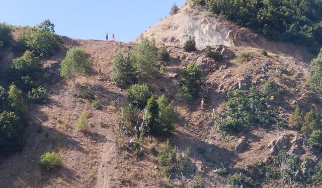 Tarım işçilerini taşıyan minibüs uçuruma yuvarlandı: 4 ölü, 18 yaralı var