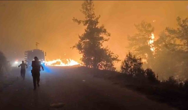 Alanya’da orman yangını
