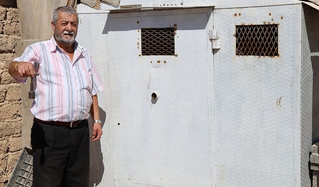 Banka kasası değil güvercin kümesi