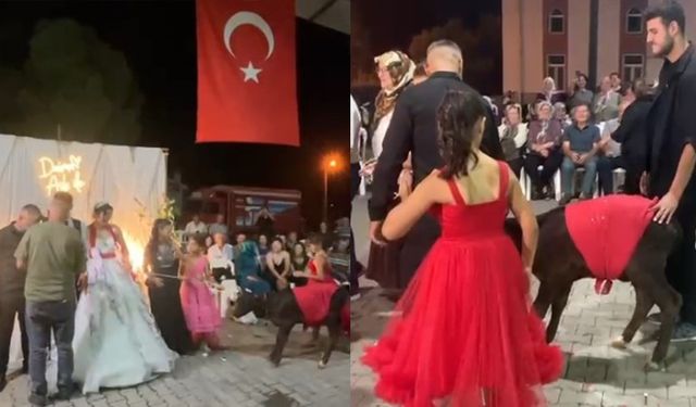 Damadın eniştesinden ilginç düğün hediyesi